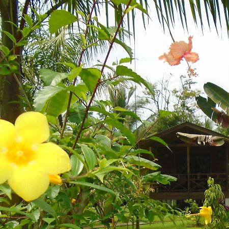 J And H Garden Cabinas Бокас Екстер'єр фото
