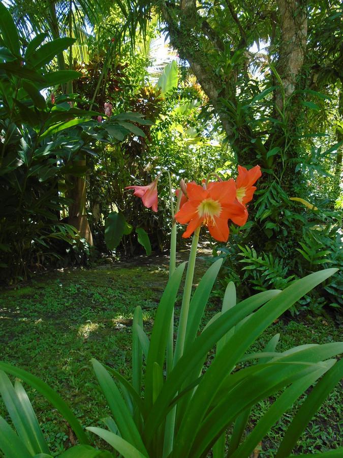 J And H Garden Cabinas Бокас Екстер'єр фото